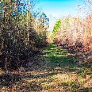 Photo #19 of SOLD property in Off Old Land Fill Road, Vanceboro, NC 15.3 acres