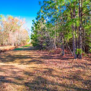 Photo #20 of SOLD property in Off Old Land Fill Road, Vanceboro, NC 15.3 acres