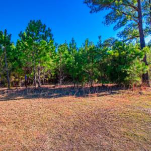 Photo #22 of SOLD property in Off Old Land Fill Road, Vanceboro, NC 15.3 acres