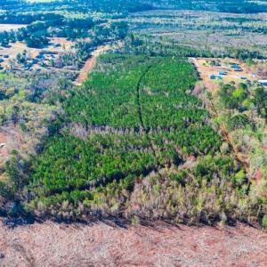 Photo #4 of SOLD property in Off Old Land Fill Road, Vanceboro, NC 15.3 acres