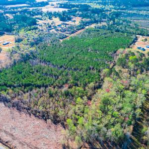 Photo #5 of SOLD property in Off Old Land Fill Road, Vanceboro, NC 15.3 acres