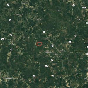 Photo #51 of SOLD property in Off Tuscarora Road, Hollister, NC 290.0 acres