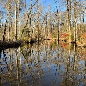 Photo #16 of SOLD property in 234 Burnt Mill Road, Edenton, NC 24.6 acres