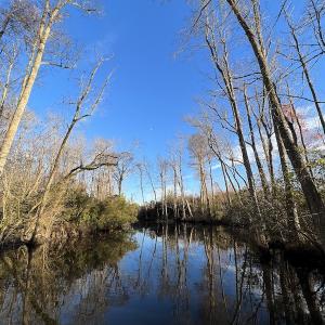 Photo #19 of SOLD property in 234 Burnt Mill Road, Edenton, NC 24.6 acres