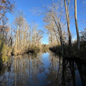 Photo #21 of SOLD property in 234 Burnt Mill Road, Edenton, NC 24.6 acres