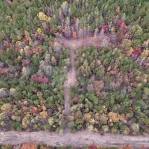 Photo #10 of SOLD property in Off Beamon Hunt Road, Warrenton, NC 11.0 acres