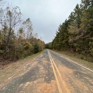 Photo #12 of SOLD property in Off Beamon Hunt Road, Warrenton, NC 11.0 acres