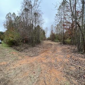 Photo #13 of SOLD property in Off Beamon Hunt Road, Warrenton, NC 11.0 acres