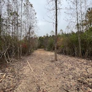 Photo #14 of SOLD property in Off Beamon Hunt Road, Warrenton, NC 11.0 acres