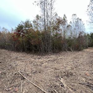 Photo #15 of SOLD property in Off Beamon Hunt Road, Warrenton, NC 11.0 acres