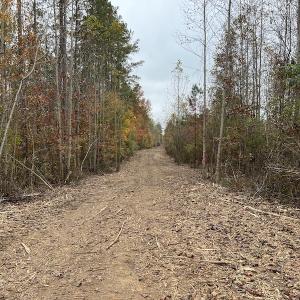 Photo #20 of SOLD property in Off Beamon Hunt Road, Warrenton, NC 11.0 acres