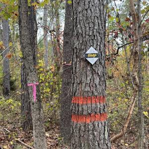 Photo #21 of SOLD property in Off Beamon Hunt Road, Warrenton, NC 11.0 acres