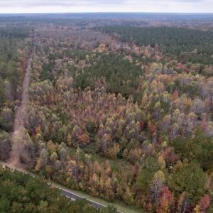 Photo #2 of SOLD property in Off Beamon Hunt Road, Warrenton, NC 11.0 acres