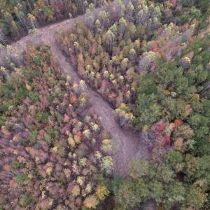 Photo #8 of SOLD property in Off Beamon Hunt Road, Warrenton, NC 11.0 acres