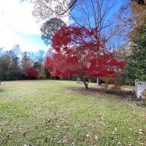 Photo #21 of SOLD property in 1714 Colonial Ave, Suffolk, VA 1.0 acres
