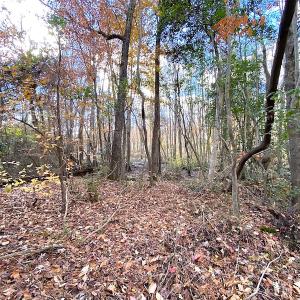 Photo #22 of SOLD property in 1714 Colonial Ave, Suffolk, VA 1.0 acres