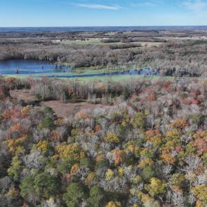 Photo #3 of SOLD property in 1629 Virginia Road, Edenton, NC 50.0 acres
