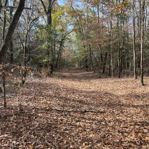 Photo #21 of SOLD property in 1629 Virginia Road, Edenton, NC 50.0 acres