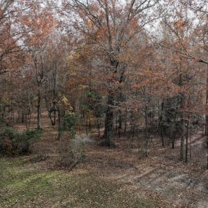Photo #20 of SOLD property in 1629 Virginia Road, Edenton, NC 50.0 acres