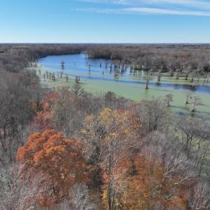 Photo #5 of SOLD property in 1629 Virginia Road, Edenton, NC 50.0 acres