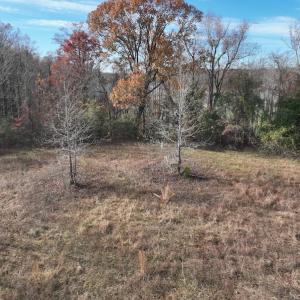 Photo #16 of SOLD property in 1629 Virginia Road, Edenton, NC 50.0 acres
