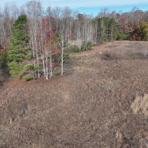Photo #15 of SOLD property in 1629 Virginia Road, Edenton, NC 50.0 acres