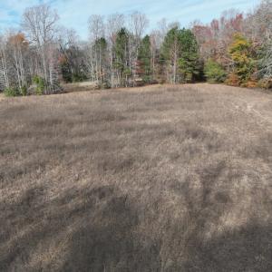 Photo #19 of SOLD property in 1629 Virginia Road, Edenton, NC 50.0 acres