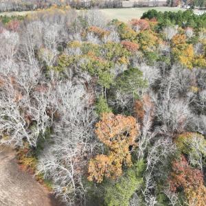 Photo #13 of SOLD property in 1629 Virginia Road, Edenton, NC 50.0 acres
