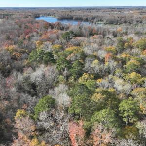 Photo #2 of SOLD property in 1629 Virginia Road, Edenton, NC 50.0 acres