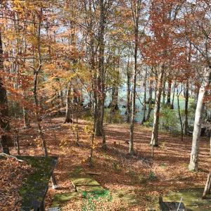 Photo #22 of SOLD property in 1629 Virginia Road, Edenton, NC 50.0 acres