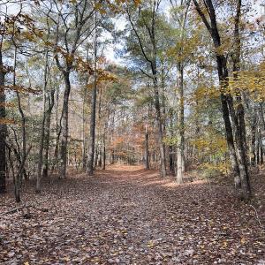 Photo #26 of SOLD property in 1629 Virginia Road, Edenton, NC 50.0 acres