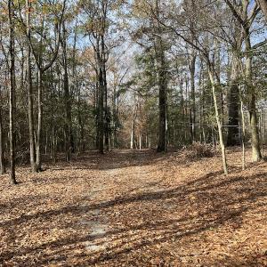 Photo #27 of SOLD property in 1629 Virginia Road, Edenton, NC 50.0 acres