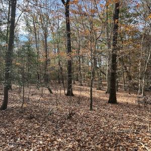 Photo #29 of SOLD property in 1629 Virginia Road, Edenton, NC 50.0 acres