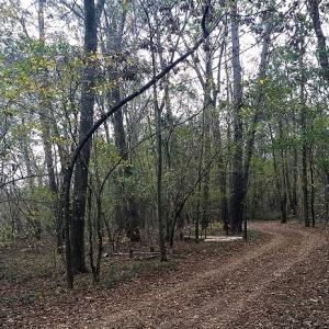Photo #6 of NC 87 Highway East, Elizabethtown, NC 140.0 acres