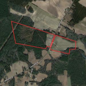Photo #1 of SOLD property in Off Twisted Hickory Road, Bladenboro, NC 97.3 acres