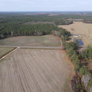 Photo #2 of SOLD property in Off Twisted Hickory Road, Bladenboro, NC 97.3 acres