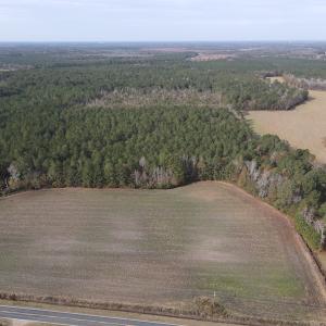 Photo #3 of SOLD property in Off Twisted Hickory Road, Bladenboro, NC 97.3 acres