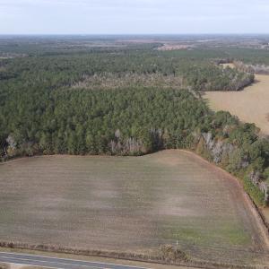 Photo #3 of SOLD property in Off Twisted Hickory Road, Bladenboro, NC 97.3 acres