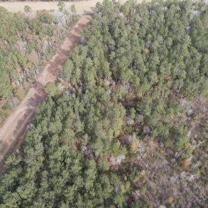 Photo #6 of SOLD property in Off Twisted Hickory Road, Bladenboro, NC 97.3 acres