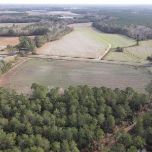 Photo #8 of SOLD property in Off Twisted Hickory Road, Bladenboro, NC 97.3 acres