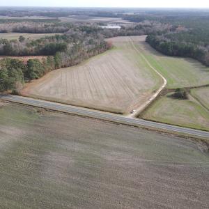Photo #9 of SOLD property in Off Twisted Hickory Road, Bladenboro, NC 97.3 acres