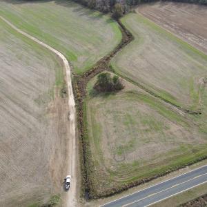 Photo #13 of SOLD property in Off Twisted Hickory Road, Bladenboro, NC 97.3 acres