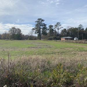 Photo #21 of SOLD property in Off Twisted Hickory Road, Bladenboro, NC 97.3 acres