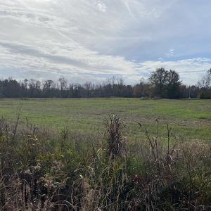 Photo #22 of SOLD property in Off Twisted Hickory Road, Bladenboro, NC 97.3 acres