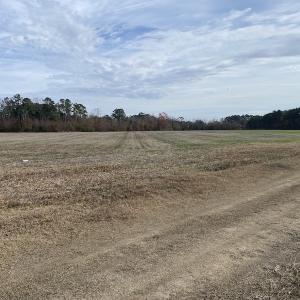 Photo #24 of SOLD property in Off Twisted Hickory Road, Bladenboro, NC 97.3 acres