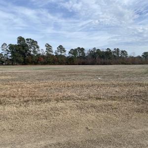 Photo #25 of SOLD property in Off Twisted Hickory Road, Bladenboro, NC 97.3 acres