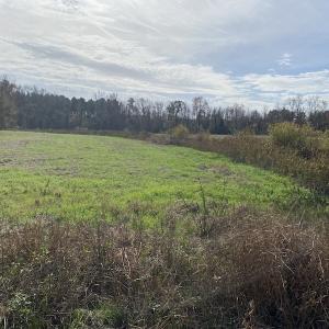 Photo #26 of SOLD property in Off Twisted Hickory Road, Bladenboro, NC 97.3 acres
