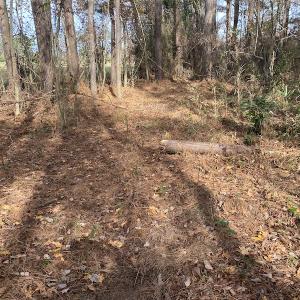 Photo #28 of SOLD property in Off Twisted Hickory Road, Bladenboro, NC 97.3 acres
