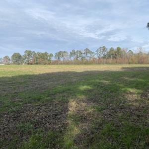 Photo #30 of SOLD property in Off Twisted Hickory Road, Bladenboro, NC 97.3 acres