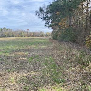 Photo #31 of SOLD property in Off Twisted Hickory Road, Bladenboro, NC 97.3 acres